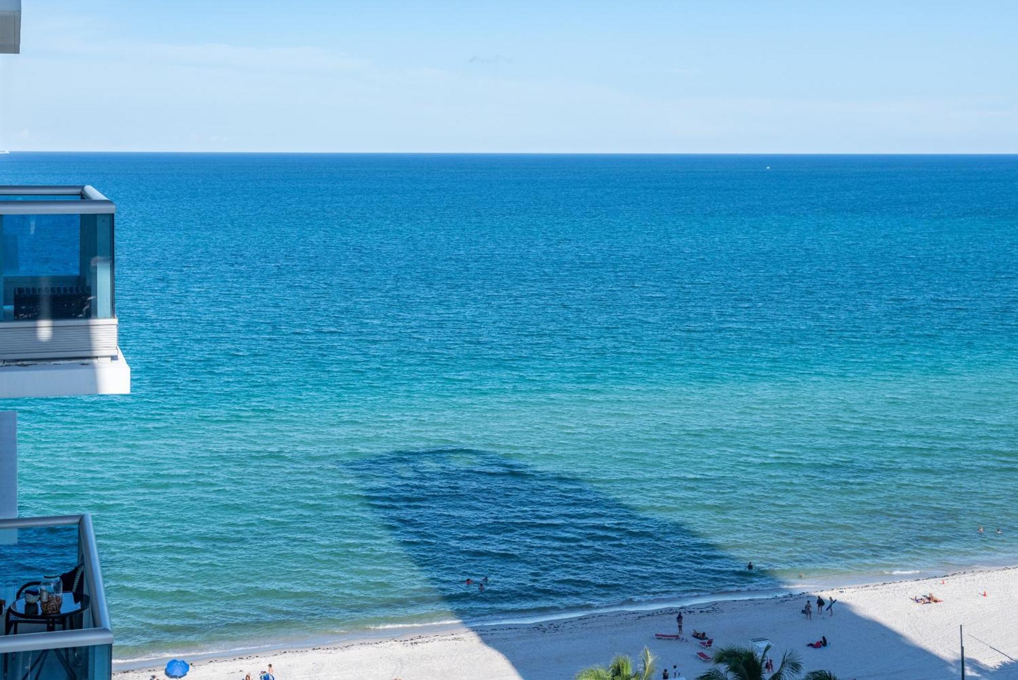 Bluebird Suites Monte Carlo Miami Beach Værelse billede